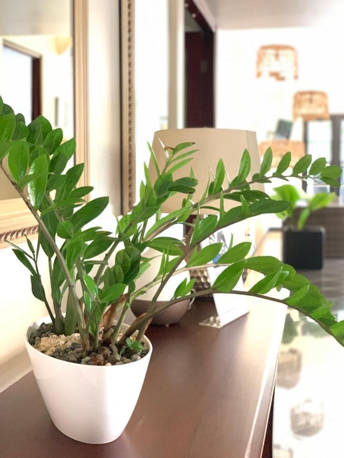 Hotel Mango Airport Río Segundo 외부 사진